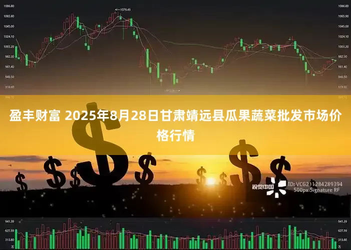盈丰财富 2025年8月28日甘肃靖远县瓜果蔬菜批发市场价格行情