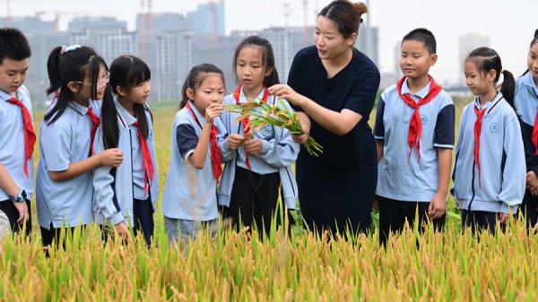富通优配 微言 | “粒粒皆辛苦”，粮食节约人人有责