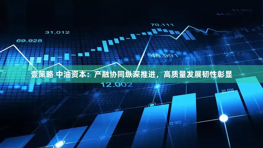 壹策略 中油资本：产融协同纵深推进，高质量发展韧性彰显